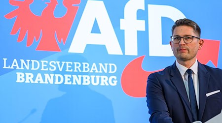 Die AfD in Brandenburg will sich gegen die Hochstufung als «gesichert rechtsextrem» mit einer Klage zur Wehr setzen. (Archivbild) / Foto: Patrick Pleul/dpa