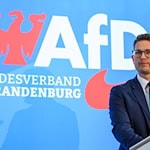 Die AfD in Brandenburg will sich gegen die Hochstufung als «gesichert rechtsextrem» mit einer Klage zur Wehr setzen. (Archivbild) / Foto: Patrick Pleul/dpa