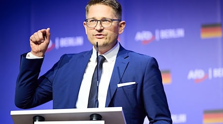 Die brandenburgische AfD will sich juristisch gegen die Hochstufung als gesichert rechtsextremistische Bestrebung wehren. (Archivbild) / Foto: Annette Riedl/dpa