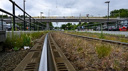 Für die Brücke an der Wuhlheide gilt ab sofort eine Vollsperrung.  / Foto: Jens Kalaene/dpa