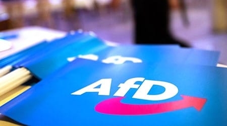 Das Bundesamt für Verfassungsschutz stuft die AfD als gesichert rechtsextremistisch ein. (Symbolbild) / Foto: Daniel Karmann/dpa