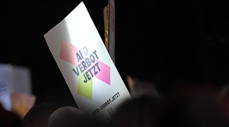 Demonstrationen sind auch in Brandenburg am Wochenende bei einem bundesweiten Aktionstag gegen Rechtsextremismus und für ein AfD-Verbot geplant. (Archivbild)  / Foto: Hannes P Albert/dpa
