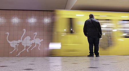 In Berlins U-Bahnen sind Fahrkartenkontrollen seltener geworden. (Archivbild) / Foto: Jörg Carstensen/dpa
