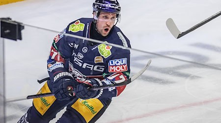 Stürmer Gabriel Fontaine verlässt die Eisbären.  / Foto: Andreas Gora/dpa