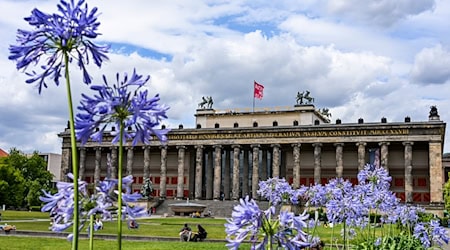 Das Alte Museum gehört zur Museumsinsel. (Archivbild) / Foto: Jens Kalaene/dpa