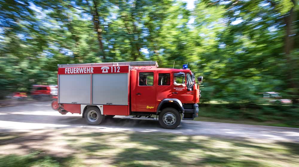 Ein Wald brannte auf mehr als vier Hektar. (Symbolbild) / Foto: Frank Hammerschmidt/dpa