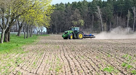Im Mittelpunkt der Messe soll das hautnahe Erleben regionaler und moderner Landwirtschaft und ihrer Produkte stehen. (Archivbild) / Foto: Jens Kalaene/dpa