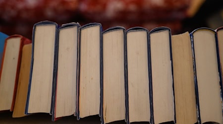 Eine mutmaßliche Bande soll angeblich Senioren wertvolle Bücher angeboten und so fast zwei Millionen Euro ergaunert haben. (Symbolbild) / Foto: Robert Michael/dpa