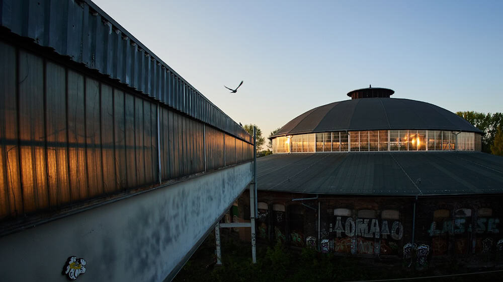 Nicht nur einige Sommervögel, auch der Maikäfer fliegt schon durch Berlin. (Archivbild) / Foto: Jörg Carstensen/dpa