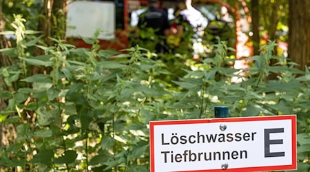 Einsatzkräfte brauchen im Fall eines Waldbrandes schnelle Orientierung über ein Gebiet: erneuerte Karten sollen helfen. (Archivbild) / Foto: Frank Hammerschmidt/dpa