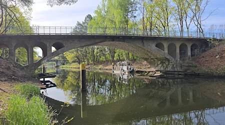 Taucher suchten nach alten Kampfmitteln und stießen im Wasser auf den verpackten Schädel eines Menschen. (Archivbild)  / Foto: Cevin Dettlaff/dpa