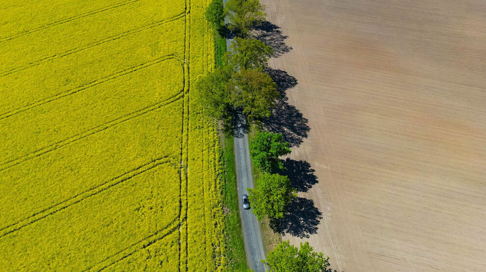 In einigen Orten Brandenburgs ist das Wetter den ganzen Tag über heiter. (Symbolbild) / Foto: Patrick Pleul/dpa/ZB