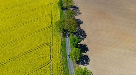 In einigen Orten Brandenburgs ist das Wetter den ganzen Tag über heiter. (Symbolbild) / Foto: Patrick Pleul/dpa/ZB
