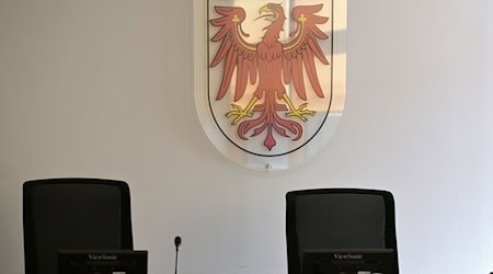 Vor dem Landgericht in Potsdam steht ein 73-jähriger Mann, der seine unheilbar kranke Frau erschlagen haben soll. (Symbolbild) / Foto: Michael Bahlo/dpa