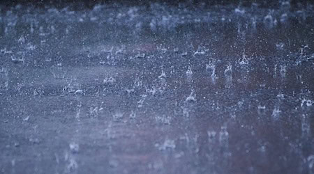 Starkregen, Hagel und Überschwemmungen richteten im vergangenen Jahr weniger Schaden in Berlin an als 2023. (Archivbild) / Foto: Annette Riedl/dpa