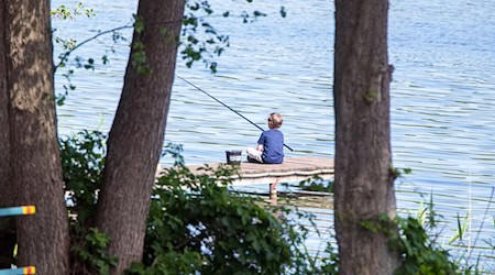 Das Angeln erfreut sich in Brandenburg weiterhin großer Beliebtheit. (Symbolbild) / Foto: Jens Büttner/dpa-Zentralbild/dpa