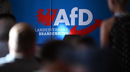 Die AfD in Brandenburg wehrt sich juristisch gegen ihre Hochstufung zur gesichert rechtsextremistischen Bestrebung. (Archivbild)  / Foto: Britta Pedersen/dpa