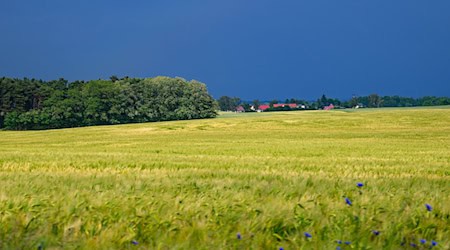 Zum Start ins Wochenende ist das Wetter in der Hauptstadtregion wechselhaft. (Archivbild) / Foto: Patrick Pleul/dpa