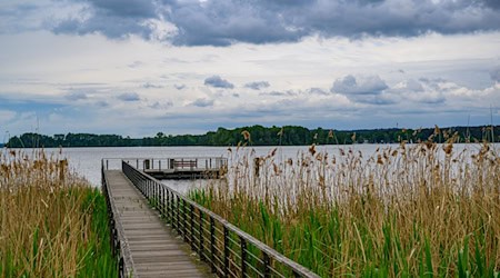Regen und Wolken sowie steigende Temperaturen dominieren die Hauptstadtregion in den nächsten Tagen. (Archivbild) / Foto: Patrick Pleul/dpa