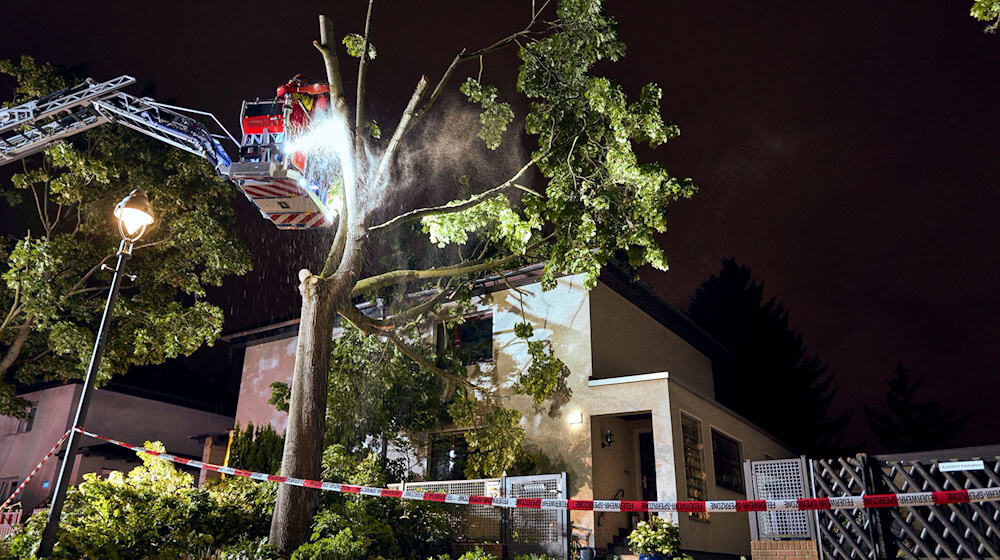 Der Sturm hat zu zahlreichen Schäden in der Hauptstadt geführt. / Foto: Michael Ukas/dpa