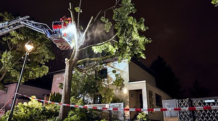 Der Sturm hat zu zahlreichen Schäden in der Hauptstadt geführt. / Foto: Michael Ukas/dpa