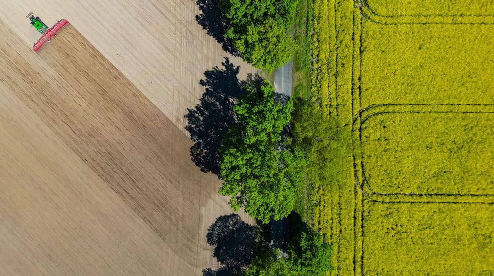 Nach Angaben des Agrarmarketing-Verbandes Pro Agro werden in Brandenburg 45 Prozent der Bodenfläche landwirtschaftlich genutzt. (Symbolbild) / Foto: Patrick Pleul/dpa/ZB