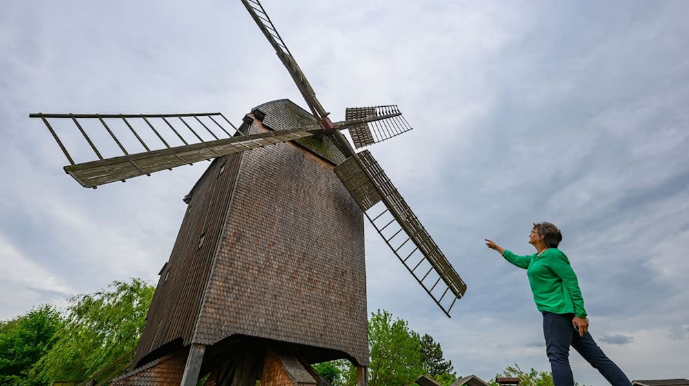 Die Bockwindmühle wurde 1883 bis 84 erbaut und ist heute die letzte ihrer Art im Oderbruch. / Foto: Patrick Pleul/dpa