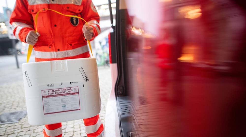 Am häufigsten wird in Deutschland eine neue Niere benötigt (Symbolbild).  / Foto: Sebastian Gollnow/dpa