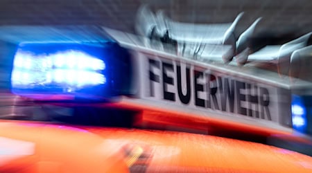 Einsatzkräfte der Feuerwehr sind seit den frühen Morgenstunden im Einsatz. (Symbolbild) / Foto: Marijan Murat/dpa