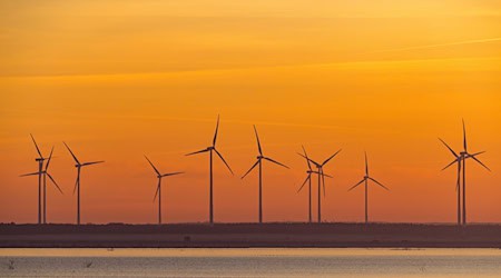 Windräder sind in Brandenburg kein seltener Anblick - auch in Berlin werden neue Standorte gesucht. (Archivbild) / Foto: Frank Hammerschmidt/dpa