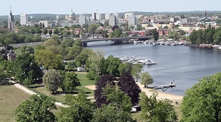 Der Park Babelsberg ist von der Trockenheit deutlich gezeichnet. / Foto: Bernd Settnik/dpa-Zentralbild/dpa