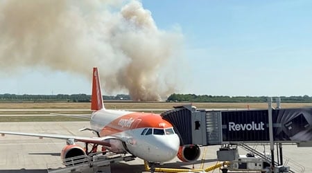 Ein Brand auf einem Getreidefeld ganz in der Nähe des Flughafens BER erzeugt auch bei Fluggästen Aufmerksamkeit.  / Foto: Tobias Schmidt/dpa