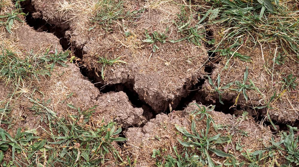 In vielen Brandenburger Landkreisen wird mehr Wasser entnommen als neu gebildet wird. (Symbolbild) / Foto: Daniel Vogl/dpa
