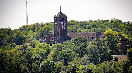 Das alte Landtagsgebäude in Potsdam ist weithin sichtbar - künftig soll es zu einem Uni-Campus ausgebaut werden. (Archivbild) / Foto: Bernd von Jutrczenka/dpa