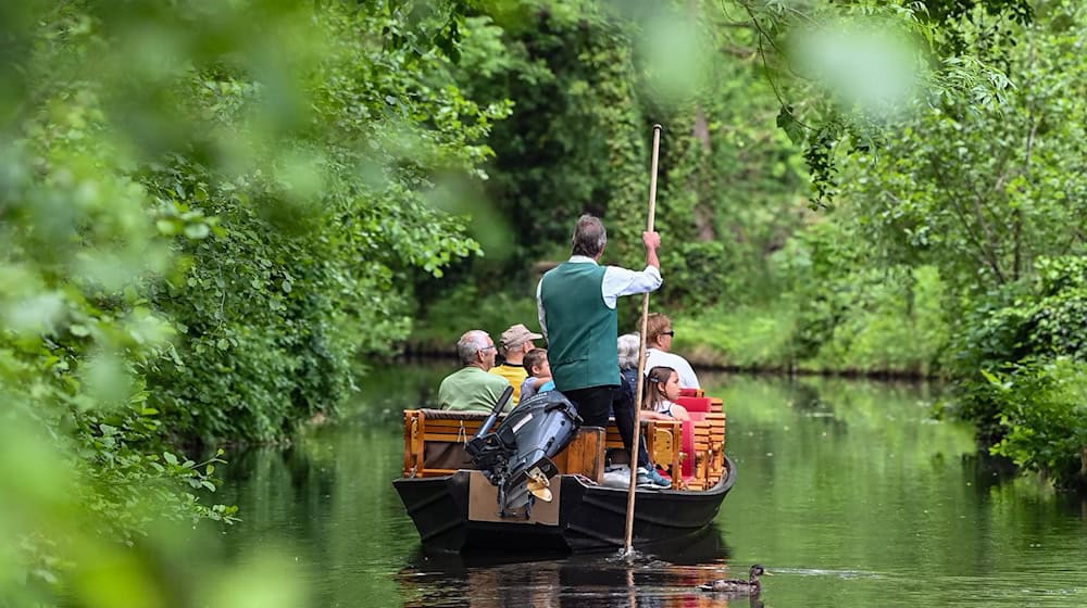 Auch der Kahnbau im Spreewald gilt als immaterielles Kulturgut. (Symbolbild) / Foto: Patrick Pleul/dpa-Zentralbild/dpa