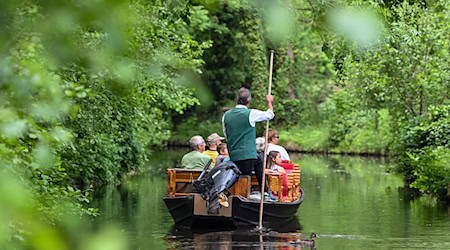 Auch der Kahnbau im Spreewald gilt als immaterielles Kulturgut. (Symbolbild) / Foto: Patrick Pleul/dpa-Zentralbild/dpa
