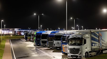 Der Platz für Lkw an Raststätten an Autobahnen ist knapp. (Archivcbild) / Foto: Michael Reichel/dpa-Zentralbild/dpa
