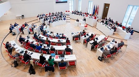 Drei der vier Fraktionen des Brandenburger Landtags wollen die Diätenregelung teilweise ändern (Archivbild). / Foto: Soeren Stache/dpa