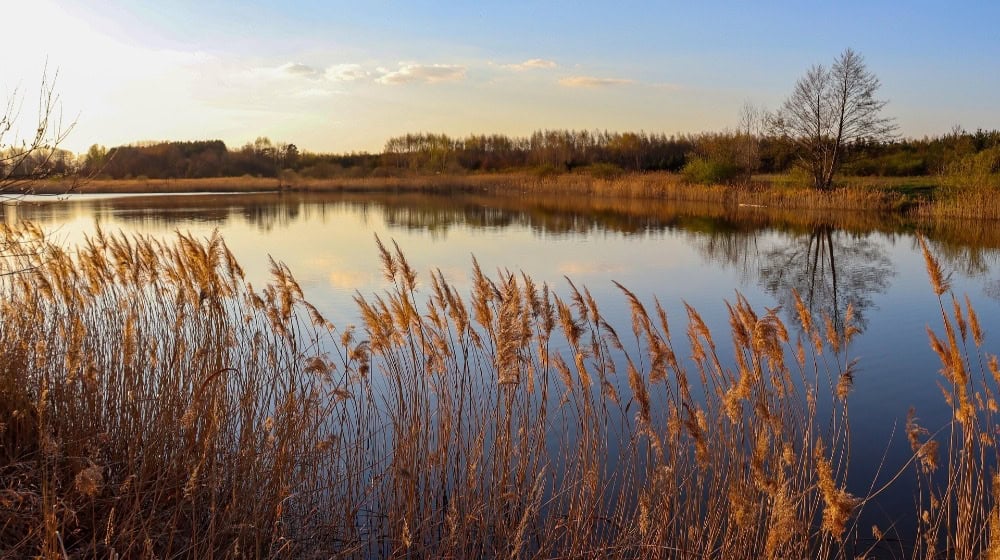 Sanfter Tourismus beginnt vor der Haustür – Natur erleben in Brandenburg / Bild von Angela auf pixabay.com