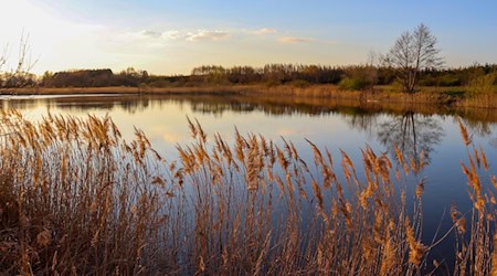 Sanfter Tourismus beginnt vor der Haustür – Natur erleben in Brandenburg / Bild von Angela auf pixabay.com