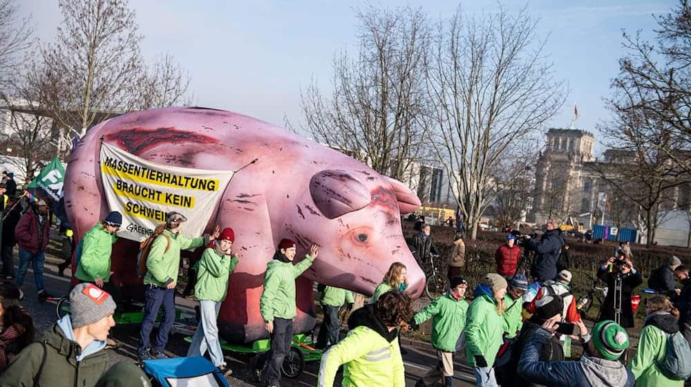 Das Bündnis «Wir haben es satt» demonstriert seit Jahren bei der Agrarmesse Grüne Woche für eine Agrarwende. Jetzt machen sie eine Aktion zum Austausch zwischen Umweltaktivisten und Landwirten. (Archivbild) / Foto: Fabian Sommer/dpa