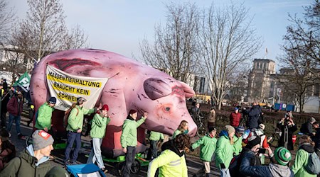 Das Bündnis «Wir haben es satt» demonstriert seit Jahren bei der Agrarmesse Grüne Woche für eine Agrarwende. Jetzt machen sie eine Aktion zum Austausch zwischen Umweltaktivisten und Landwirten. (Archivbild) / Foto: Fabian Sommer/dpa