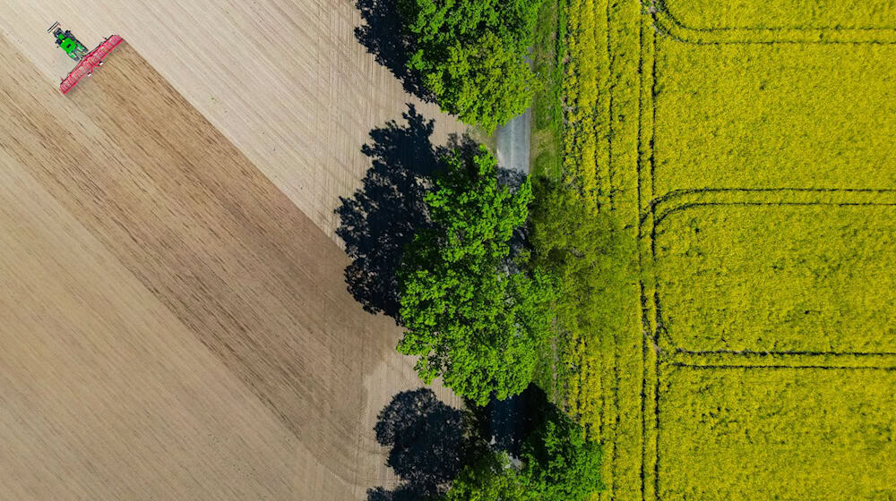 Nach Angaben des Agrarmarketing-Verbandes Pro Agro werden in Brandenburg 45 Prozent der Bodenfläche landwirtschaftlich genutzt. (Symbolbild) / Foto: Patrick Pleul/dpa/ZB