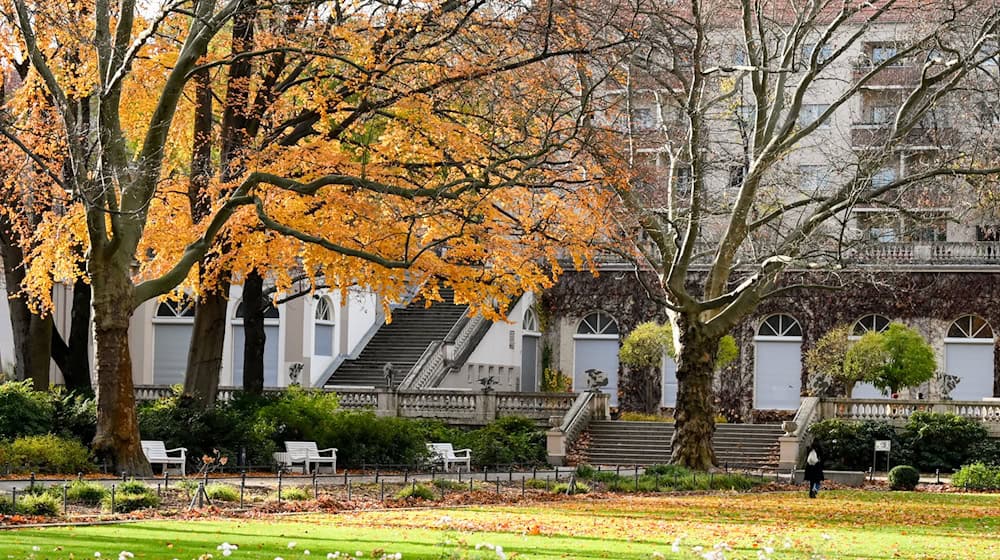 Im Körnerpark in Neukölln wurde ein 28-Jähriger so schwer verletzt, dass er später im Krankenhaus starb. (Archivbild) / Foto: Jens Kalaene/dpa-Zentralbild/ZB