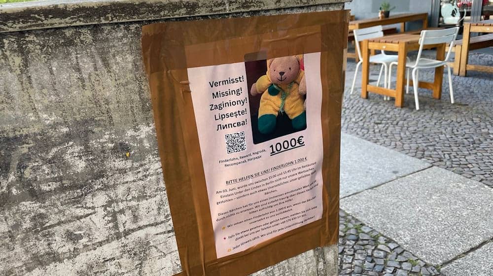 Neben den Plakaten auf Deutsch bittet auch ein eigener Webauftritt auf Englisch, Polnisch, Rumänisch und Bulgarisch um Hinweise zu dem gestohlenen Plüschtier. / Foto: Christof Bock/dpa