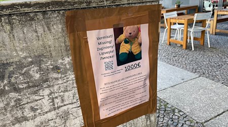 Neben den Plakaten auf Deutsch bittet auch ein eigener Webauftritt auf Englisch, Polnisch, Rumänisch und Bulgarisch um Hinweise zu dem gestohlenen Plüschtier. / Foto: Christof Bock/dpa