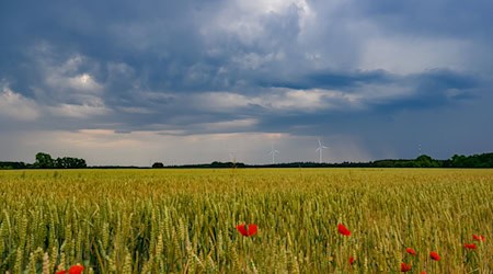 Die Sonne ist in den nächsten Tagen kaum hinter der dichten Wolkendekce zu sehen. (Symbolbild) / Foto: Patrick Pleul/dpa