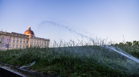 In den nächsten Tagen sollen die Temperaturen in der Hauptstadtregion bis auf 39 Grad klettern. / Foto: Christoph Soeder/dpa