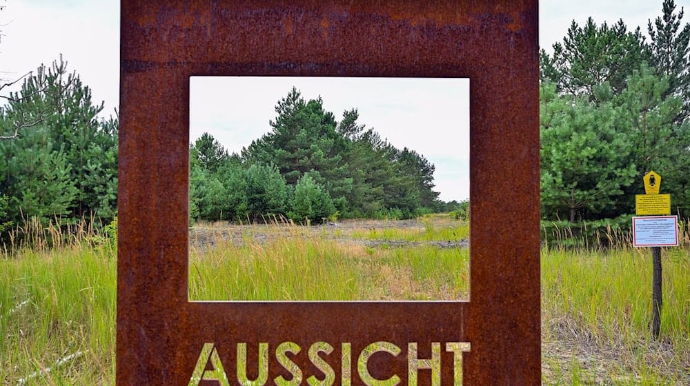 In der Lieberose Heide schützt die Stiftung Naturlandschaften Brandenburg die Natur auf einem ehemaligen Truppenübungsplatz. Die Stiftung, die noch drei andere Flächen besitzt, feiert 25-jähriges Jubiläum. / Foto: Patrick Pleul/dpa