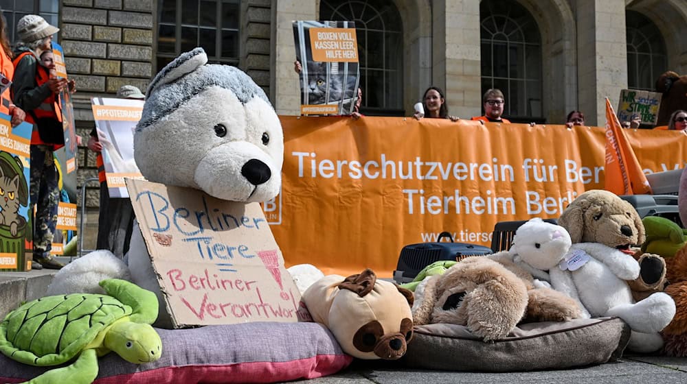 Direkt vor dem Landesparlament demonstrierten Tierschützer.  / Foto: Jens Kalaene/dpa